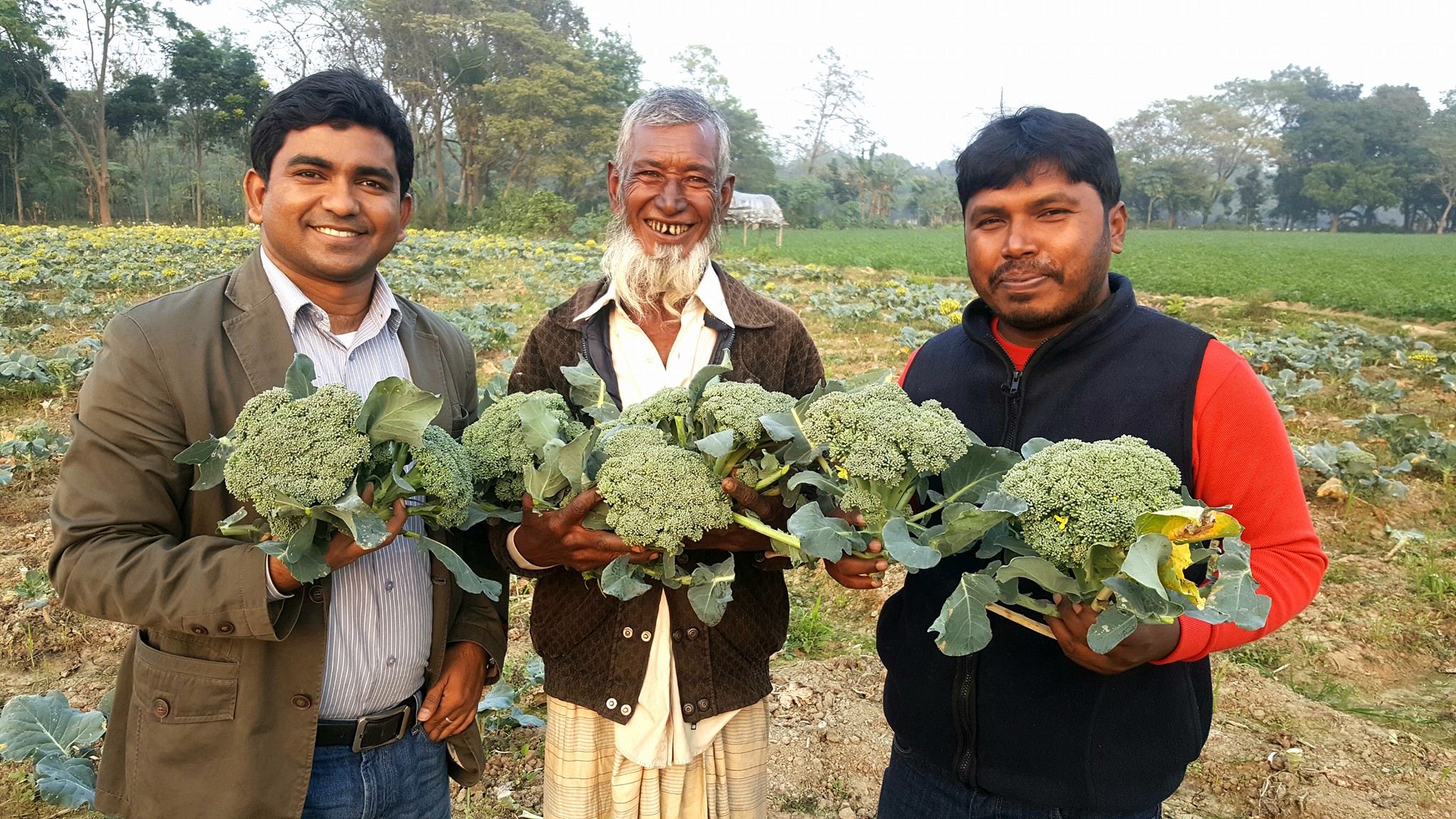ব্রকলি চাষএ সফল চুয়াডাঙ্গার কৃষক