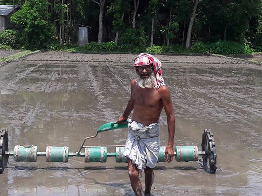 নকলায় ড্রাম সিডারের মাধ্যমে আউশ আবাদে কৃষকের মুখে হাসি